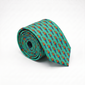 Scarlet Macaw Tie